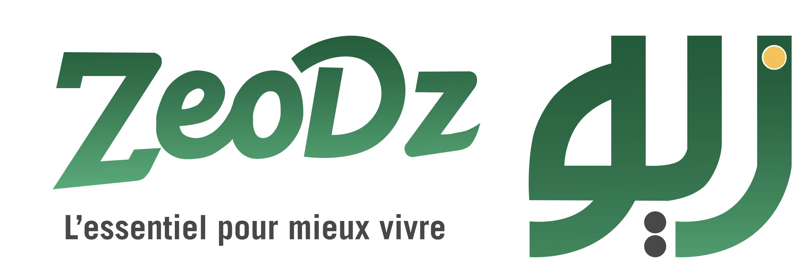 Zeo DZ - Première plateforme de e-commerce en Algérie